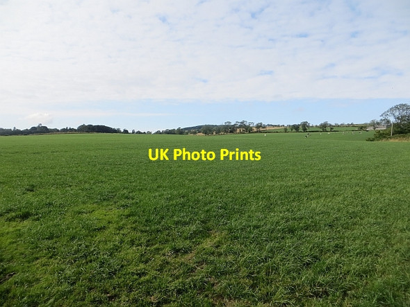 Photo 6"x4" Grass, Lemington Houndwood c2013