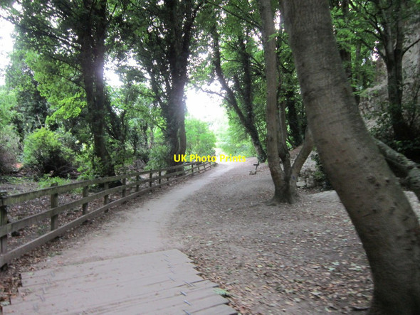 Photo 6"x4" The Humber Bridge Country Park Hessle\/TA0326 c2013
