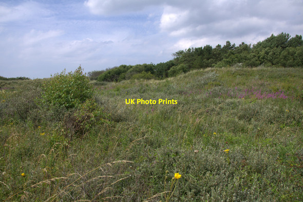 Photo 6"x4" Dry slack in Ainsdale National Nature Reserve Formby c2013