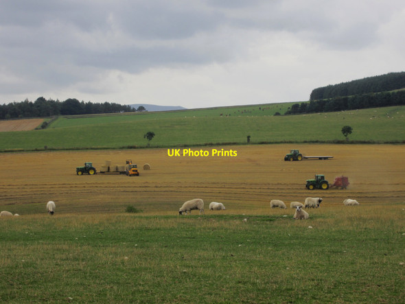 Photo 6"x4" Tractors at work north of East Horton East Horton c2013