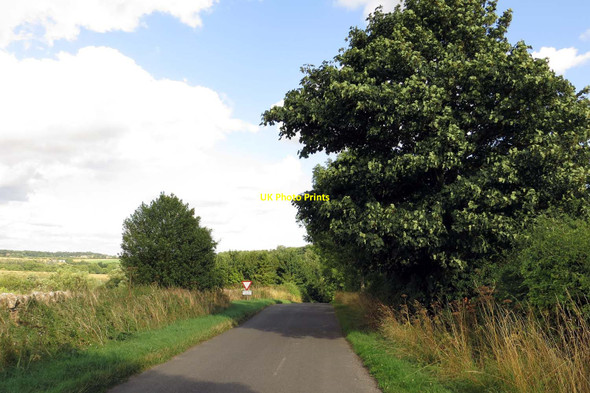Photo 6"x4" The road past Ashford Mill Cottages East End\/SP3914 c2013