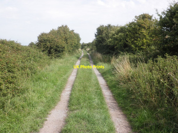Photo 6"x4" Path towards the Parrett Estuary Steart\/ST2745 c2013