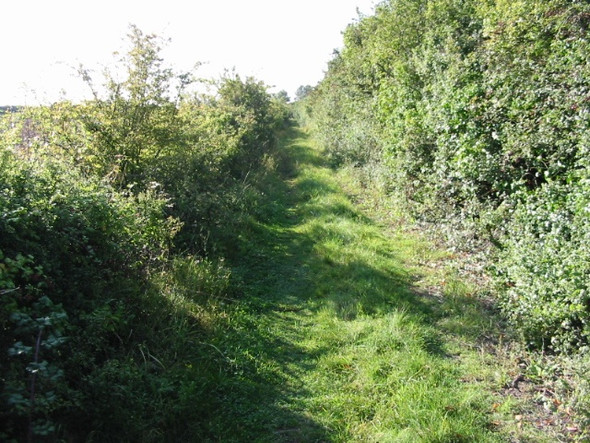 Photo 6"x4" Looking S along footpath towards the River Stour Hoo\/TR2964 c2008