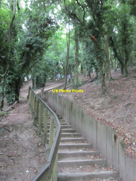 Photo 6"x4" The Humber Bridge Country Park Hessle\/TA0326 c2013