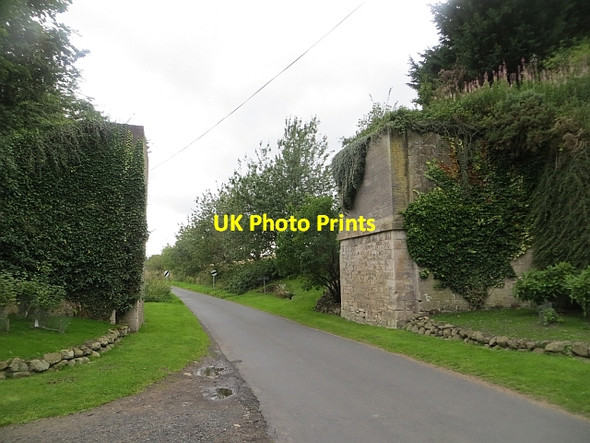Photo 6"x4" Viaduct, Roxburgh Roxburgh c2013