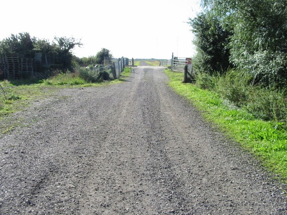 Photo 6"x4" Farm track crossing the railway line Hoo\/TR2964 c2008