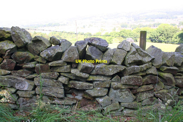 Photo 6"x4" View over wall beside Skipton Moor Lane at Jenny Gill Skipton c2013
