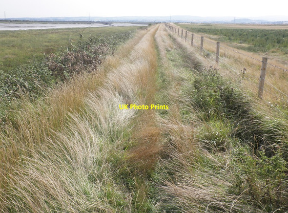 Photo 6"x4" The River Parrett Trail Steart\/ST2745 c2013