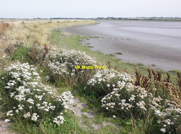 Photo 6"x4" The Parrett Estuary Steart\/ST2745 c2013