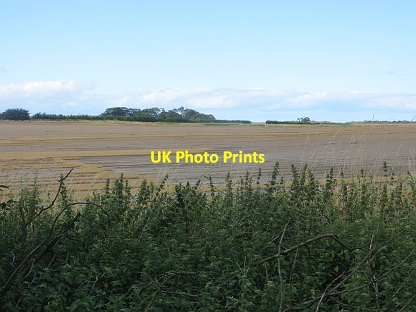 Photo 6"x4" Turf farm Whitekirk c2013