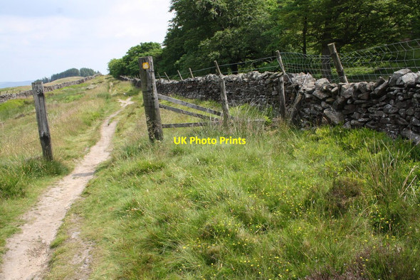 Photo 6"x4" Gateway across Skipton Moor Lane by small wood Draughton\/SE0352 c2013