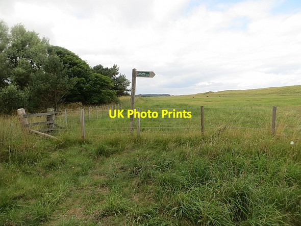 Photo 6"x4" Footpath sign, Ravensheugh Tyninghame c2013