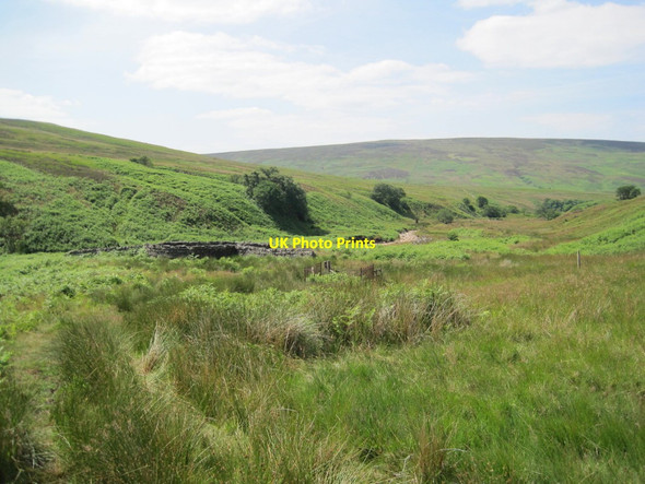 Photo 6"x4" Sheepfold, Old Water Valley Old Water\/NY5953 c2013