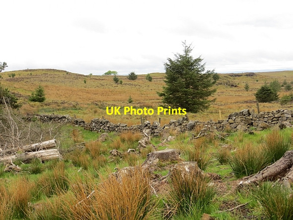 Photo 6"x4" Blairskaith Muir Blairskaith c2013