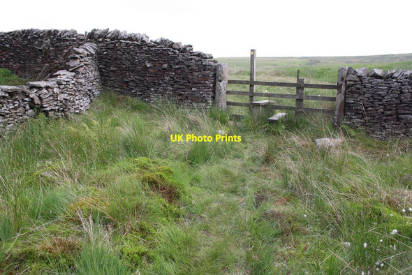 Photo 6"x4" Footpath to Snow Hill Allotment from Skipton Moor Lane Draughton\/SE0352 c2013
