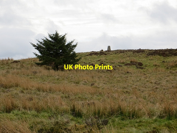 Photo 6"x4" Blairskaith Muir Blairskaith c2013