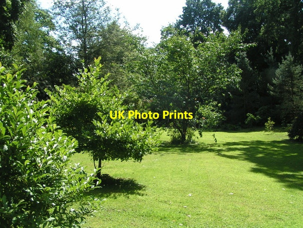 Photo 6"x4" Gardens at Knightshayes Tiverton\/SS9512 c2013