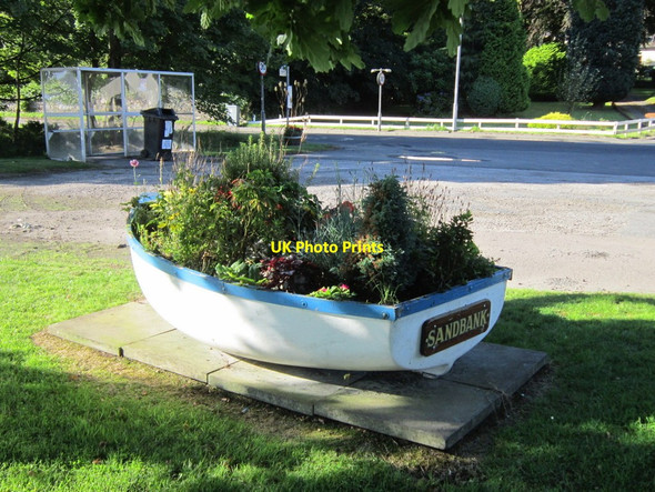 Photo 6"x4" Floral display at Sandbank picnic area Sandbank c2013