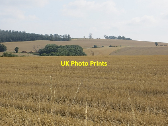 Photo 6"x4" Stubble, Brownrigg Eckfordmoss c2013