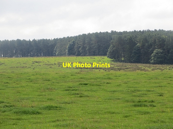Photo 6"x4" Cessford Moor Crailinghall c2013