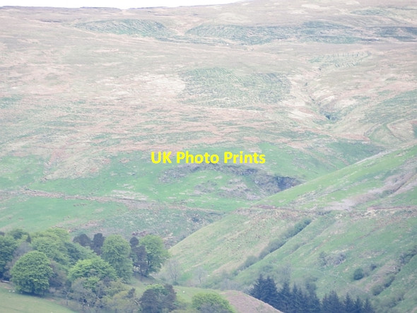 Photo 6"x4" Tree planting, Campsie Fells Clachan of Campsie c2013