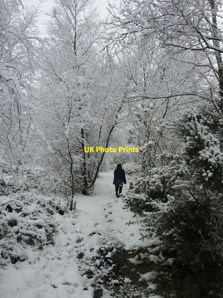 Photo 6"x4" Snowy Laurel's Mountain, Llanteg Llanteg c2013