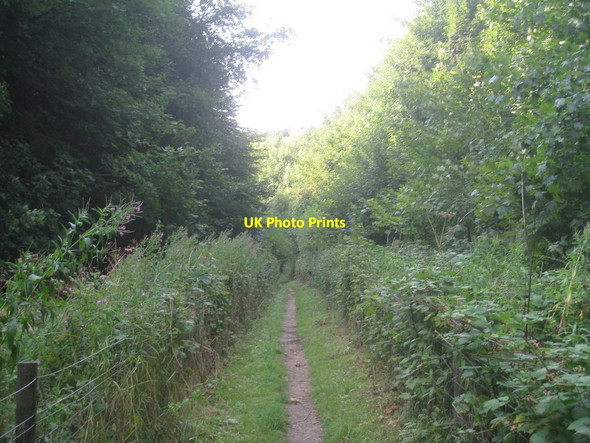 Photo 6"x4" The Yorkshire Wolds Way Brantingham c2013