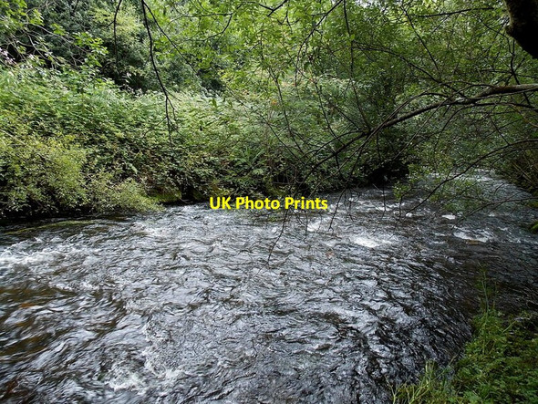 Photo 6"x4" Rhondda Fach viewed from a riverside track, Tylorstown Ferndale\/SS9996 c2013