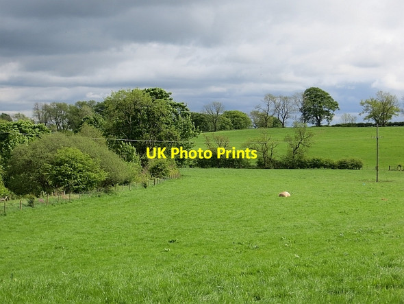 Photo 6"x4" Pasture, Muckcroft Lennoxtown c2013