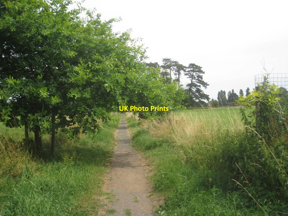Photo 6"x4" Footpath to Wick Pershore c2013