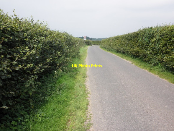 Photo 6"x4" Approaching the B3224 Chidgley c2013