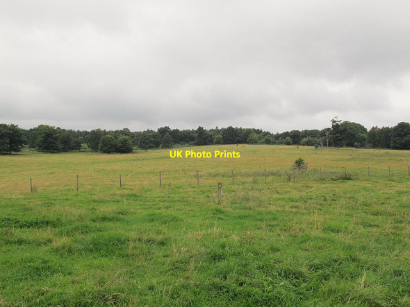 Photo 6"x4" West of the arch Tixall c2013