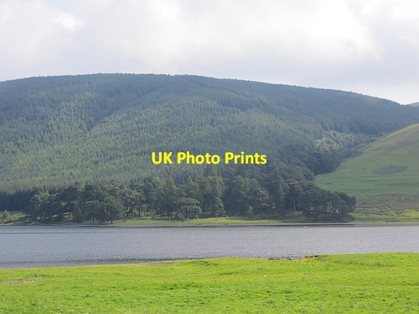 Photo 6"x4" March Wood Bowerhope c2013