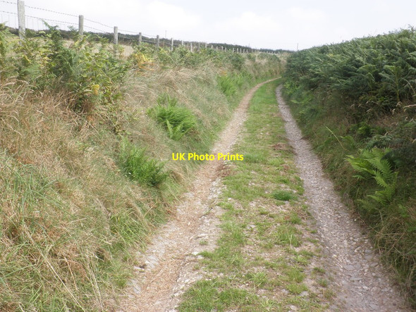 Photo 6"x4" Track from Sedgeborough to the main road Clatworthy\/ST0530 c2013
