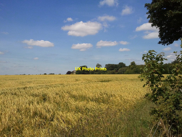 Photo 6"x4" Manby Airfield and Hidden Hangars Manby c2011