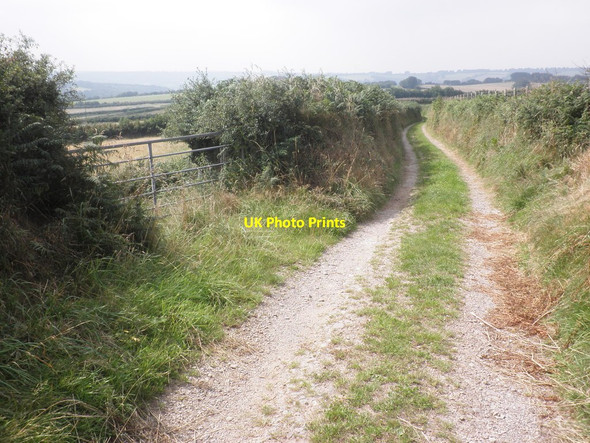 Photo 6"x4" Track to Sedgeborough Brompton Ralph c2013