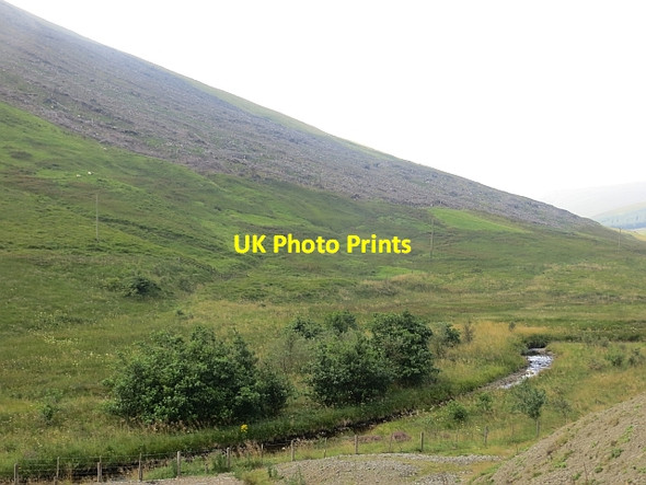 Photo 6"x4" Little Yarrow Herman Law c2013