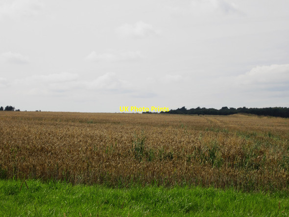 Photo 6"x4" Arable field near Brackenside Farm Bowsden c2013