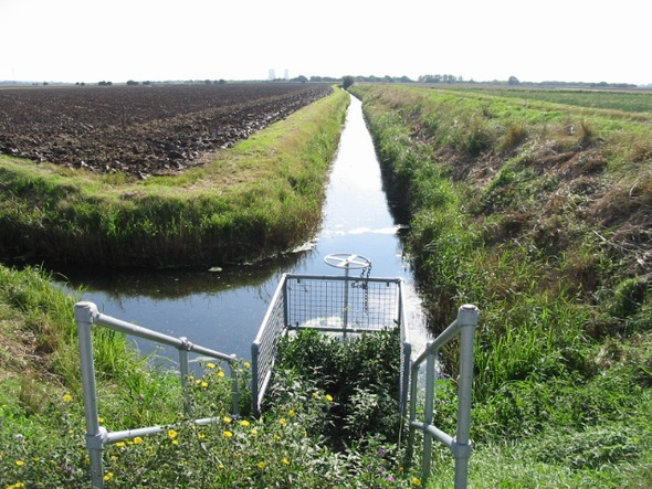 Photo 6"x4" View along the Western Monkton Stream Hoo\/TR2964 c2008