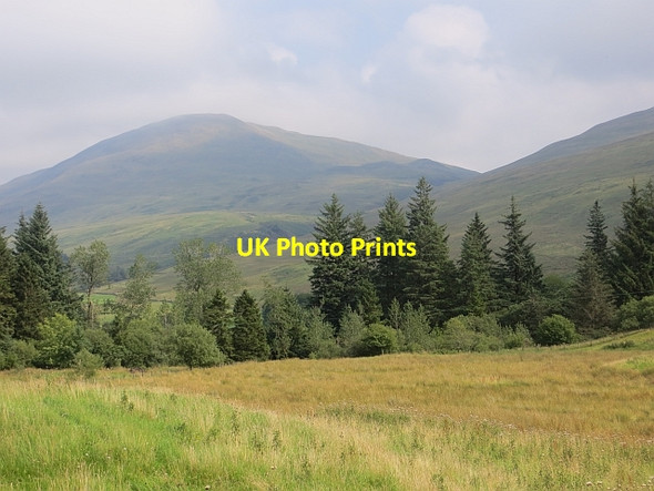 Photo 6"x4" Rough grazing, Moffatdale Capplegill c2013