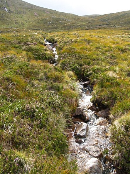 Photo 6"x4" Allt Doire nan Tota Dundonnell c2008