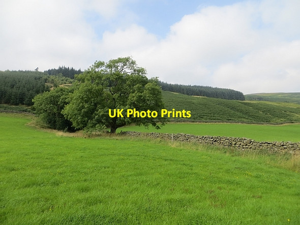 Photo 6"x4" Fields, Roundstonefoot Capplegill c2013