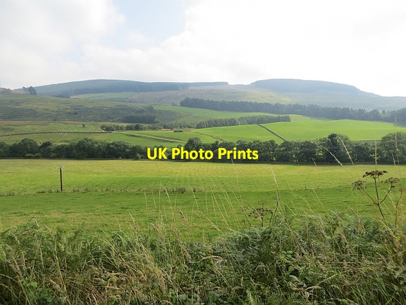 Photo 6"x4" Fields, Moffat Dale Dumcrieff c2013