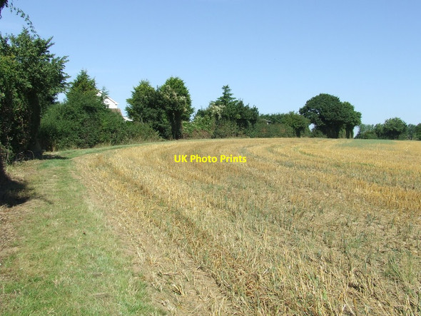 Photo 6"x4" Field Boundary And Footpath Wormingford c2013