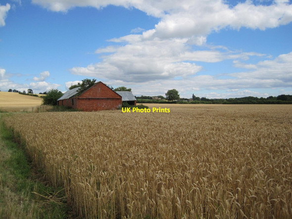 Photo 6"x4" Farm Buildings in Field (dilapidated) Williamscot c2013