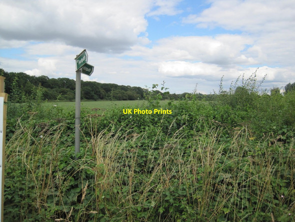 Photo 6"x4" Footpath Signs Chacombe c2013