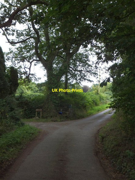 Photo 6"x4" Passing Glebe Farm Honeychurch c2013
