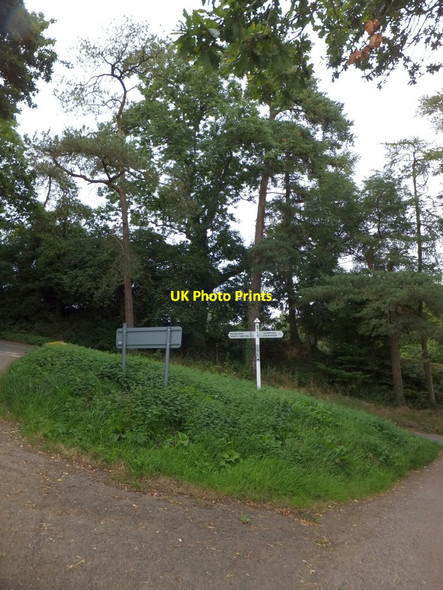 Photo 6"x4" Rowtry Cross, Honeychurch Honeychurch c2013