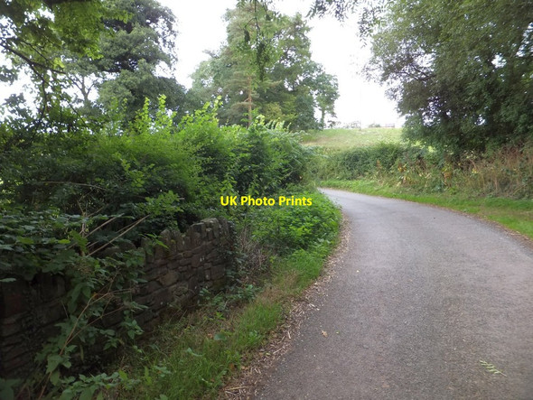 Photo 6"x4" Bridge over stream south of Honeychurch Honeychurch c2013