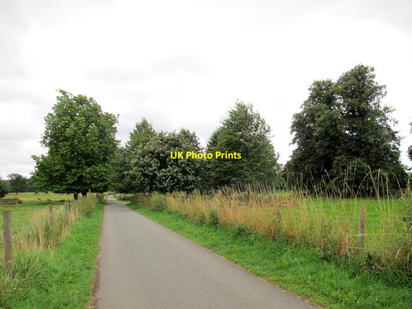 Photo 6"x4" Bridleway through the Shugborough estate Great Haywood c2013